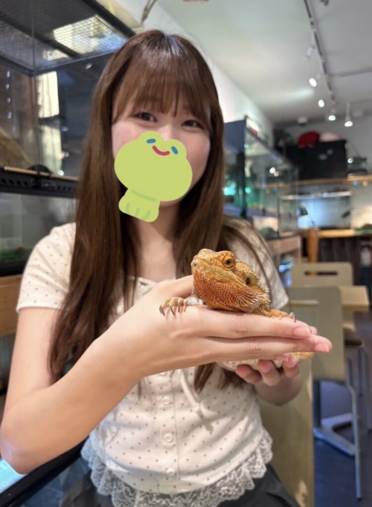 爬虫類カフェに行ってきたよ〜🦎💕